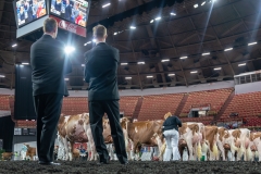 AR305948-4433 AR305948-4433