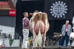 AR305954-4435 AR305954-4435