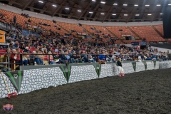 AR305956-4436 AR305956-4436