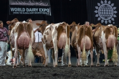 AR305959-4437 AR305959-4437