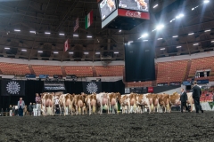 AR305960-4438 AR305960-4438