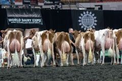 AR305961-4439 AR305961-4439