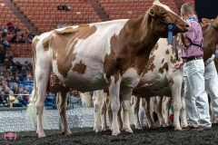 AR305966-4440 AR305966-4440