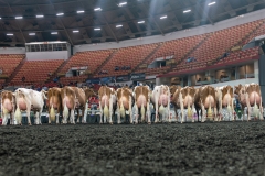 AR305970-4442 AR305970-4442