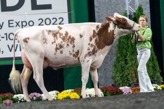 A9105984-4195 A9105984-4195