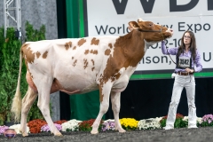 A9105986-4196 A9105986-4196