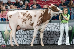 A9105989-4197 A9105989-4197