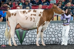 A9105996-4200 A9105996-4200