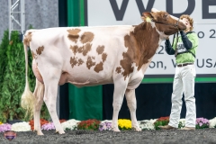 A9105998-4201 A9105998-4201