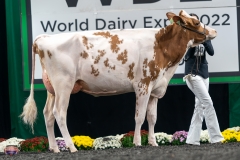 A9106005-4204 A9106005-4204