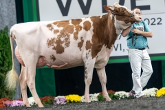 A9106012-4206 A9106012-4206