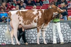 A9106015-4207 A9106015-4207