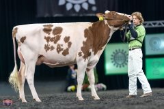 A9106018-4208 A9106018-4208