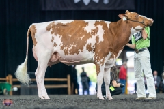 A9106024-4211 A9106024-4211