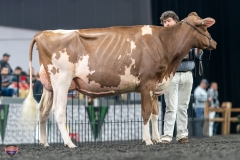 A9106025-4212 A9106025-4212