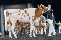 A9106026-4213 A9106026-4213