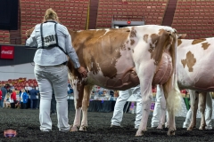 AR305841-4214 AR305841-4214