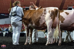 AR305845-4215 AR305845-4215