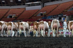 AR305855-4217 AR305855-4217