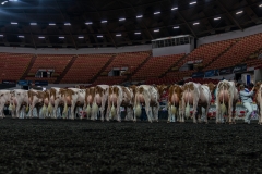 AR305859-4218 AR305859-4218