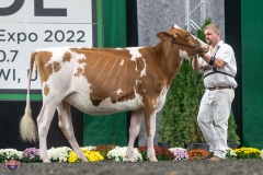 A9105650-3943 A9105650-3943