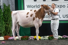 A9105652-3944 A9105652-3944