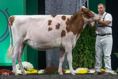 A9105659-3946 A9105659-3946