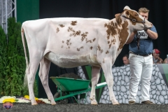 A9105665-3947 A9105665-3947