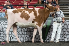 A9105667-3948 A9105667-3948