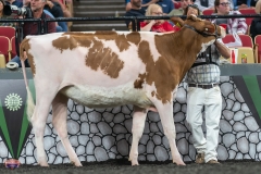 A9105669-3949 A9105669-3949