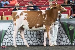 A9105670-3950 A9105670-3950