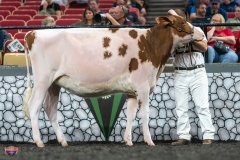 A9105673-3951 A9105673-3951