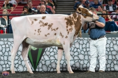 A9105677-3953 A9105677-3953