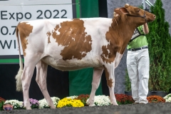 A9105678-3954 A9105678-3954