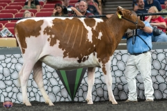 A9105681-3955 A9105681-3955