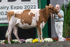 A9105683-3956 A9105683-3956