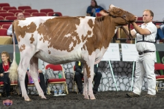 A9105685-3957 A9105685-3957