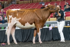 A9105689-3958 A9105689-3958