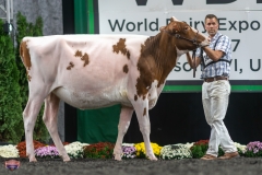 A9105691-3959 A9105691-3959