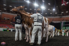 AR305137-3960 AR305137-3960