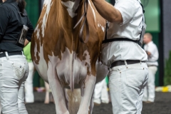 AR305143-3961 AR305143-3961