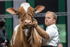 AR305143-3962 AR305143-3962