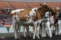 AR305148-3963 AR305148-3963