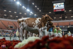 AR305153-3964 AR305153-3964