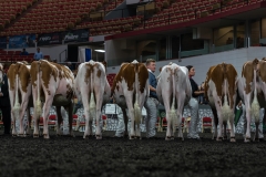 AR305157-3965 AR305157-3965