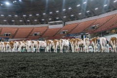 AR305159-3966 AR305159-3966