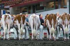 AR305161-3967 AR305161-3967