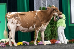 A9106095-4267 A9106095-4267