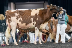 A9106097-4269 A9106097-4269