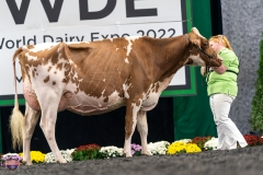 A9106098-4270 A9106098-4270